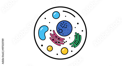 Illustration of a cell showing different organelles in a colorful and scientific style