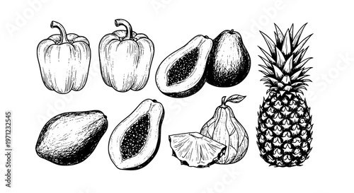Summer fruits and vegetables brush stroke vector set with vintage charcoal ink sketch isolated on white background