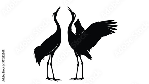 Black silhouette of two cranes in a courtship dance or display with one bird spreading its wings against a white background.