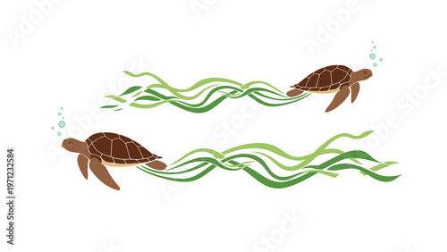 Two sea turtles swimming gracefully with green seaweed trails and tiny air bubbles on a clean white background for a marine theme.