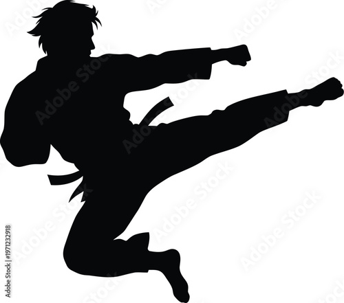 Black silhouette of a male martial artist performing a high kick