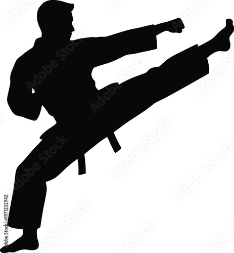 Silhouette of a karate practitioner performing a high kick in a fighting stance, showcasing martial arts technique and discipline in a vector graphic illustration.