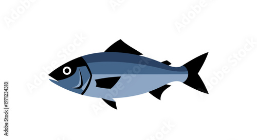 Stylized graphic illustration of a fish on a white background, aquatic life