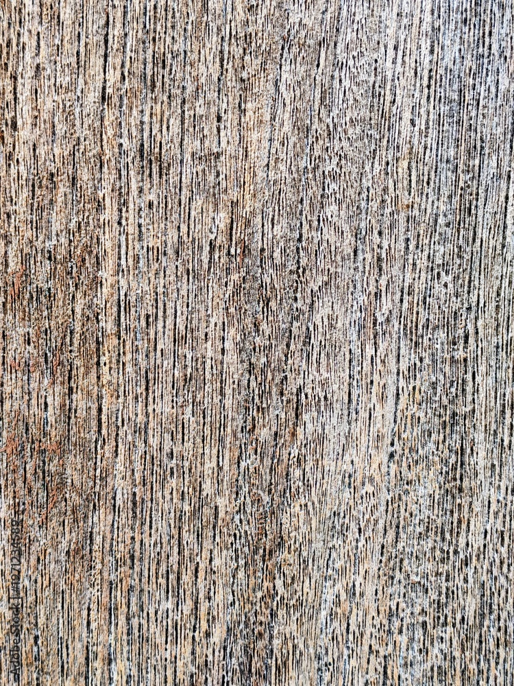 Fototapeta premium Old weathered wood texture background with natural rough grain pattern and vintage rustic timber surface for organic design or backdrop.