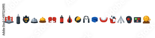 Boxing Equipment Collection