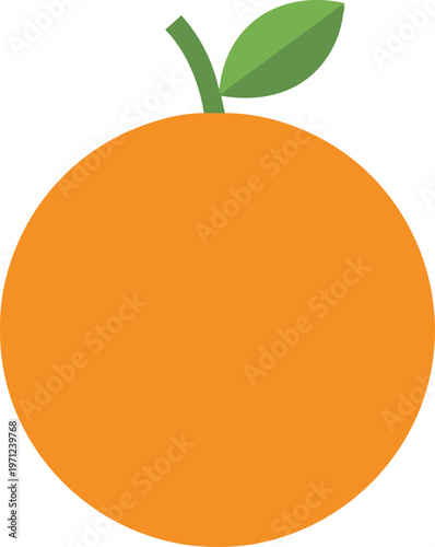 Fresh Orange Fruit Illustration.