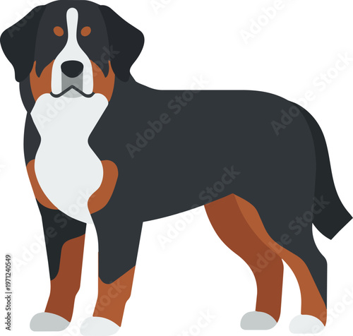 Barn Dog Illustration.