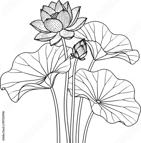 vector drawing of a flower