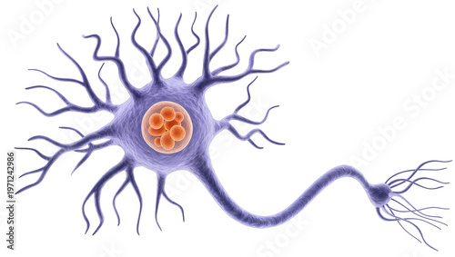 Detailed Purple Neuron Cell with Orange Nucleus and Dendrites