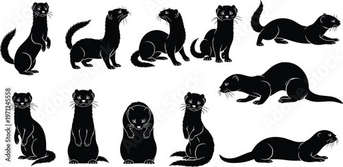 Black vector silhouette set of cute ferrets, weasels, and minks in various standing, sitting, and walking poses on white background.