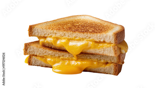 Grilled Cheese Sandwich with Melted Cheddar on Wheat Bread