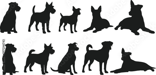 dog silhouettes, various breeds, black pet shapes, canine collection, isolated animals, sitting standing lying poses, vector style illustration, minimal design