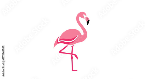 A stylized illustration featuring a pink flamingo on a clean, bright white background