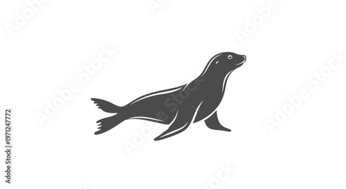 Silhouette illustration of a seal aquatic mammal in a minimalistic monochrome style