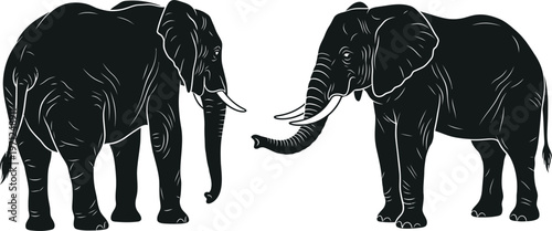 Two black elephants facing each other with white outlines on a plain white background in a vector illustration design