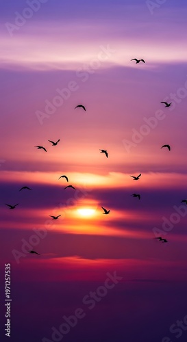 Birds flying during colorful sunset sky.