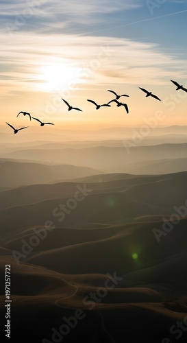 Birds flying over mountain landscape sunset.