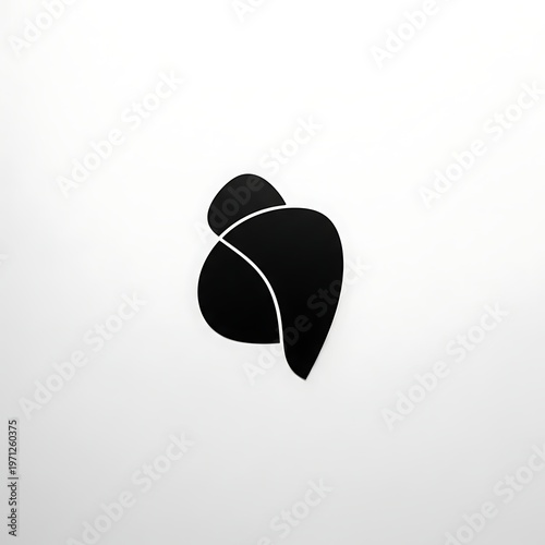 Black and white leaf shape design.
