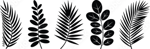 Black Silhouettes of Various Leafy Branches and Fronds Keywords: leaf, leaves, branch, foliage, plant, nature, botanical, flora, green