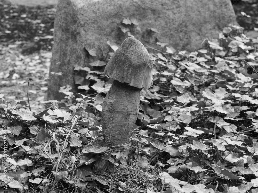 Fototapeta premium Still Life in a Cemetery