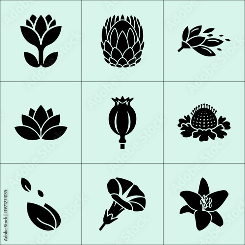Nine black botanical silhouettes on light mint green featuring lotus artichoke and pomegranate
