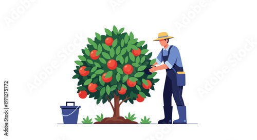 Hardworking farmer in a straw hat and overalls picks ripe red apples from a healthy green tree into a large blue bucket.
