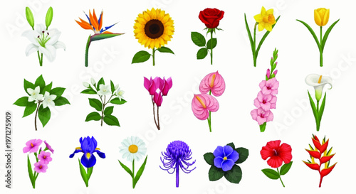 Large collection of nineteen botanical flower illustrations including white lily, sunflower, red rose, yellow tulip, daisy, iris, hibiscus, and bird of paradise, isolated on white background.