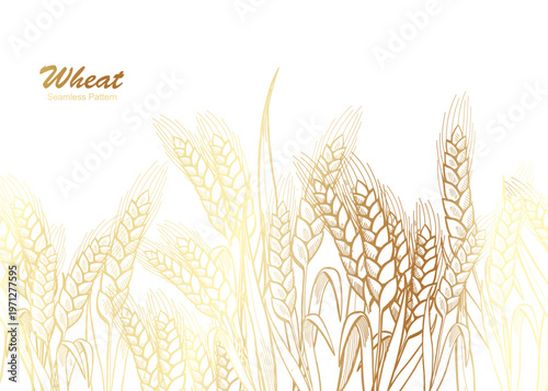 Hand-Drawn Golden Wheat Spikelet Stalks seamless pattern Bread , background, label with wheat, oat, barley, rye, wheat ears stalks gold line