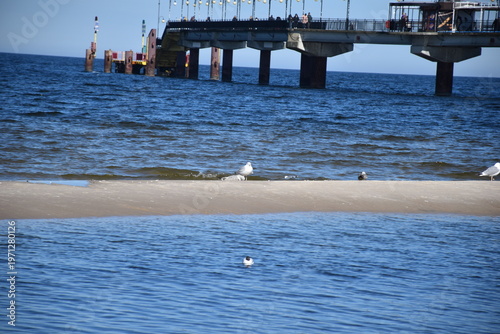 Fényképezés Seagulls on sandbar with pier in Baltic Sea Poland