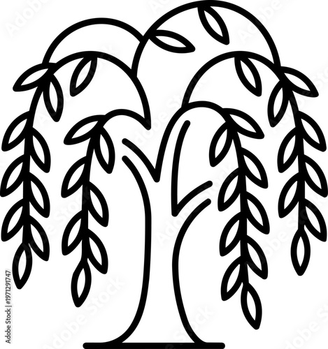 Weeping Willow Tree Line Art.