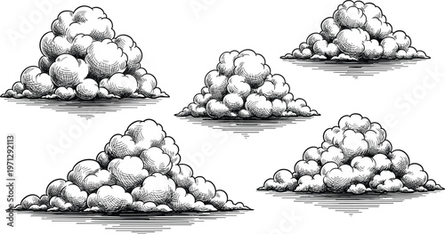 Cumulus cloud illustration, hand-drawn engraving style, detailed linework shading, atmospheric natural forms, realistic sky elements, traditional pen ink vector art