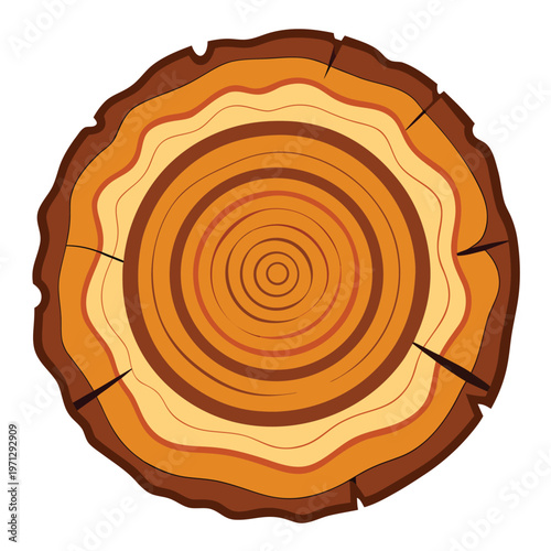 Tree Trunk Rings Vector Texture Illustration | Wood Grain Rings, Cracked Tree Ring Pattern, Rustic Timber Cross Section Clipart Design