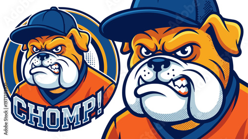 Angry bulldog wearing baseball cap.