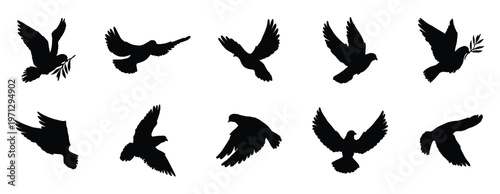 Doves and pigeons silhouettes in various poses including flying, perched, and holding olive branches. Stylized depictions of doves in flight carrying olive branches for peace, vector illustration.