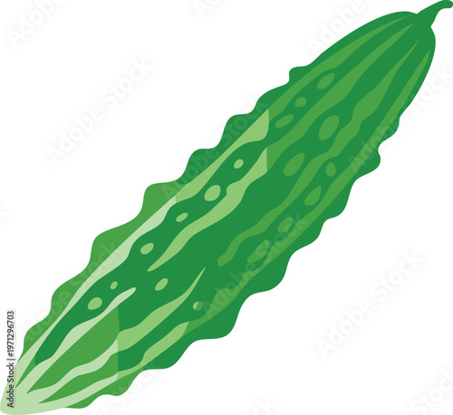 Bitter Melon Vector Illustration Green Gourd Healthy Vegetable