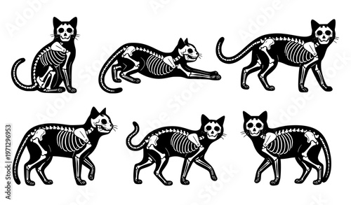 Halloween skeleton X-ray cat vector set – spooky and cute bundle