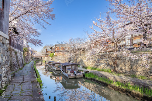 近江八幡・八幡掘　桜の季節