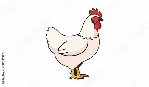 Chicken farm bird flat vector illustration on white