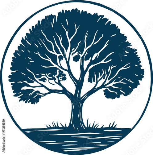 Detailed of a solitary tree with visible branches and leaves enclosed in a circle