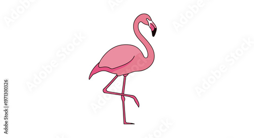 Pink Flamingo Standing on One Leg.