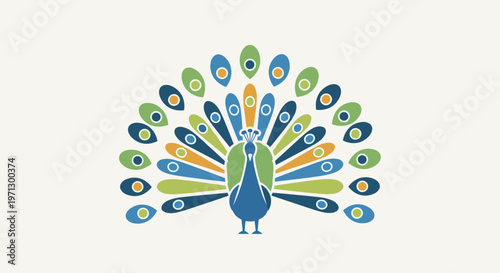 Colorful Peacock Bird Spreading Its Tail.