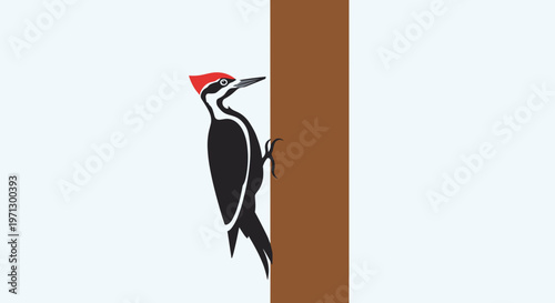 Pileated Woodpecker on tree trunk side.