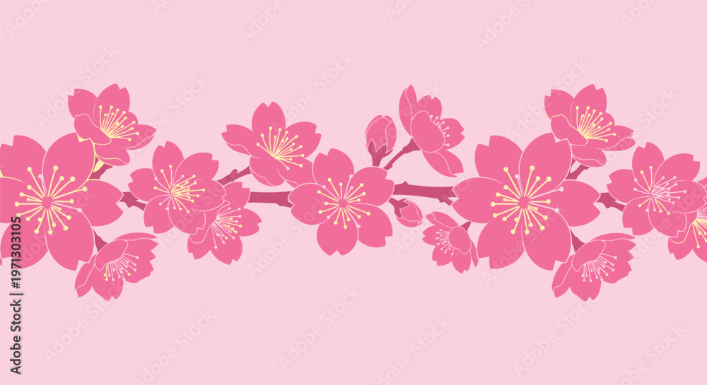 Fototapeta premium Beautiful vector graphic illustration of pink cherry blossoms creating a delightful floral border pattern.