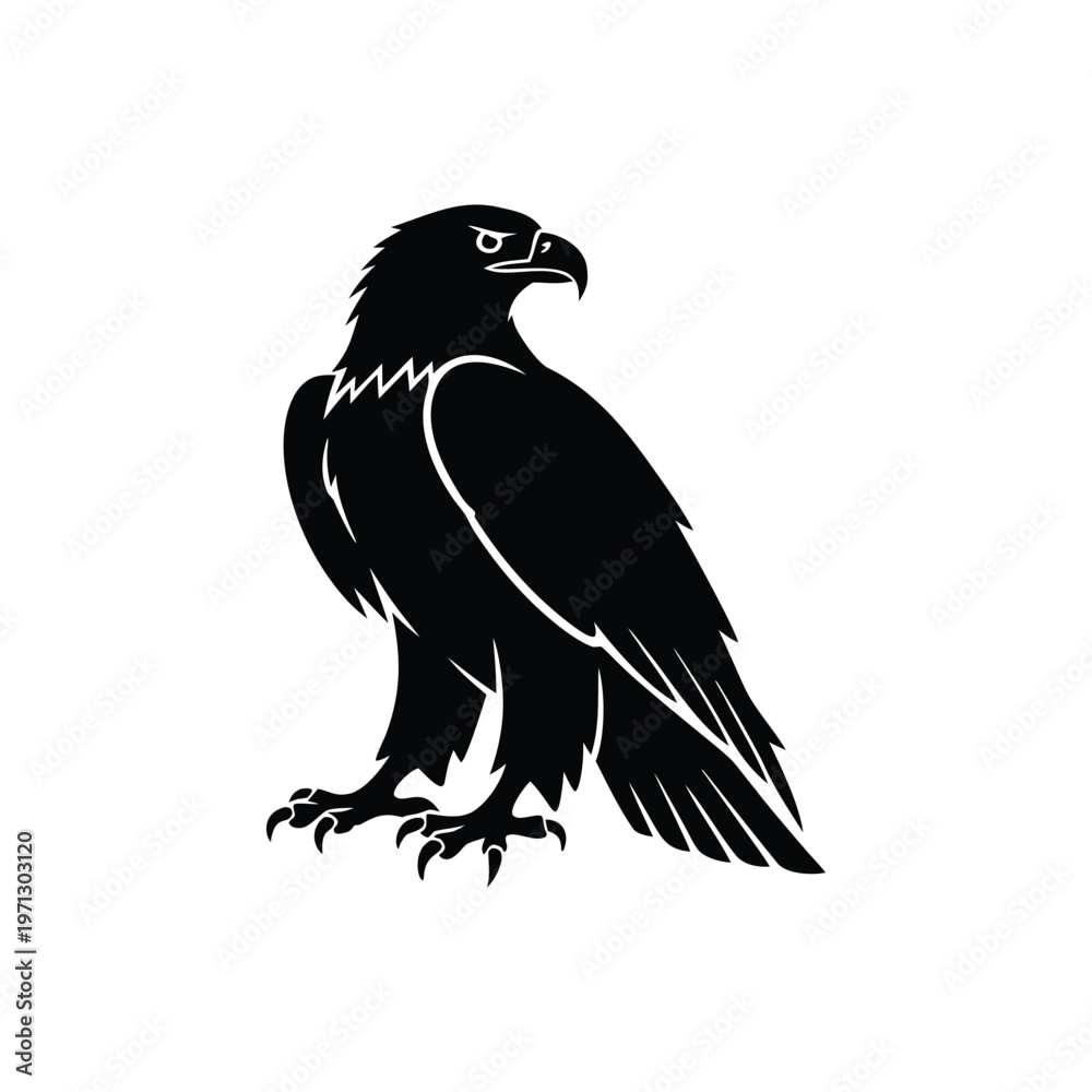 Fototapeta premium Black Bald Eagle in Flight - Soaring American Eagle, Strength and Freedom Symbol