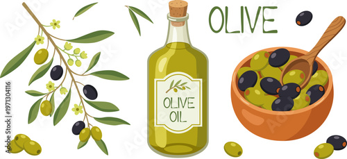 Olive oil bottle, green and black olives in wooden bowl and olive branch. Mediterranean organic food set isolated on white background. Vector illustration.