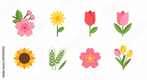 Set of eight flat vector flower illustrations featuring pink sakura blossoms, yellow sunflower, daisy, red and pink tulips, and green wheat stalks on a white background.