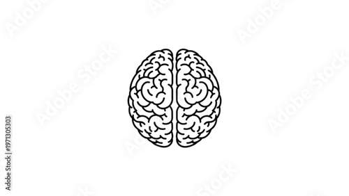 Human Brain Icon Vector