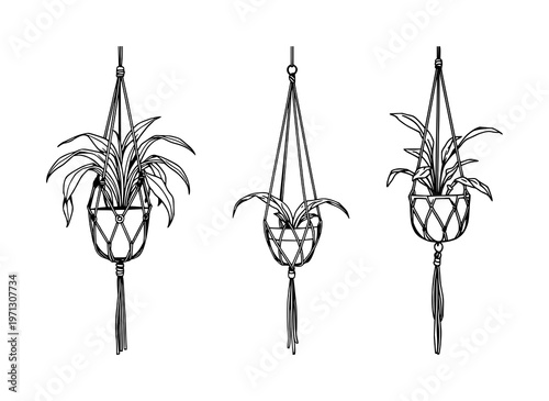 Macrame plant holder set with hanging black line art design featuring macrame, plant holder, minimalist with line and black and white