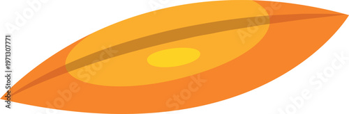 vector illustration of an orange fruit