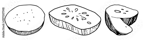 Luffa sponge slice set with black line art depiction of a natural luffa sponge slice featuring black and white, botanical, minimalist, illustration, vector with line art and sponge
